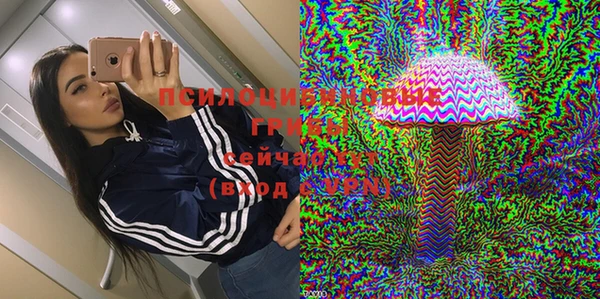 хмурый Коряжма